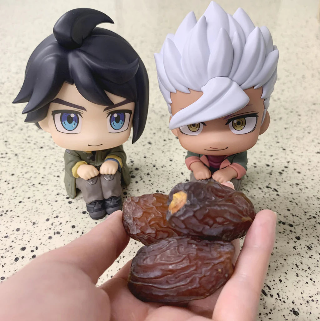 Lookup: Mobile Suit Gundam Iron-Blooded Orphans - Mikazuki Augus & Orga Itsuka Set [With Gift]