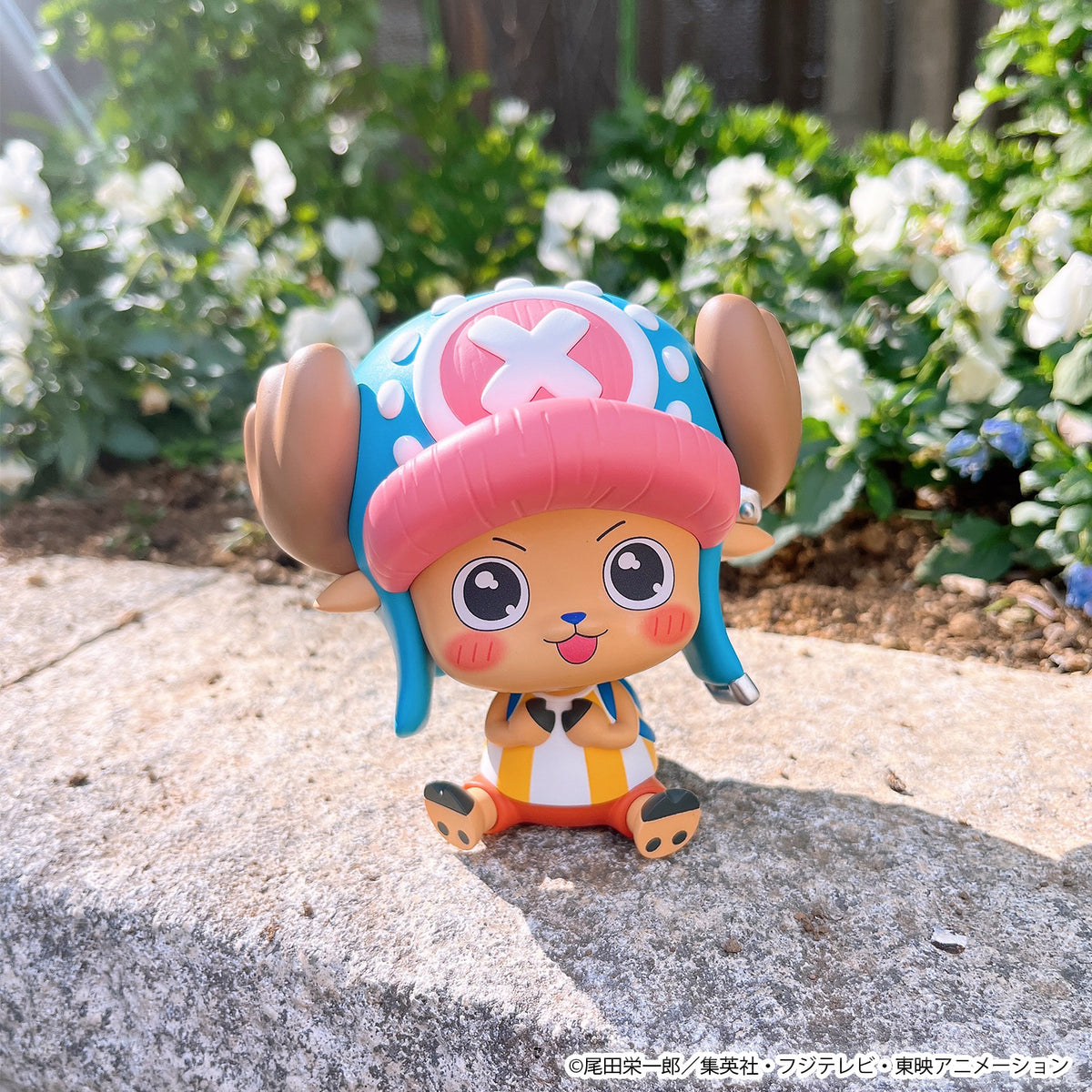 Lookup: One Piece - Nico Robin & Tony Tony Chopper Excited Ver. Set [With Gift]