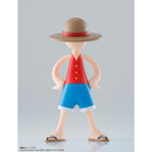 Luffy's Archive of Adventure Vol. 1 1pc