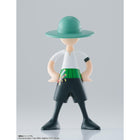 Luffy's Archive of Adventure Vol. 1 1pc