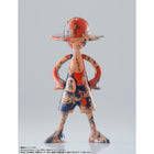 Luffy's Archive of Adventure Vol. 1 1pc