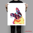Paint by Numbers Kit: Abstract French Bulldog_3
