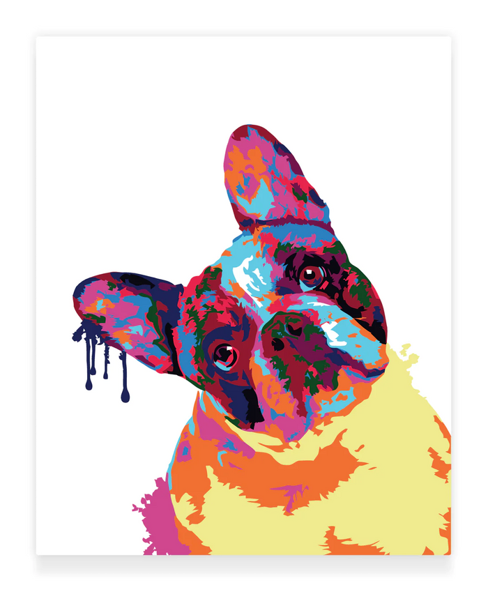 Paint by Numbers Kit: Abstract French Bulldog