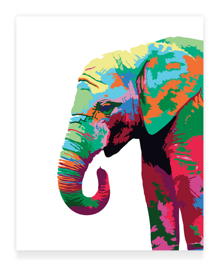 Paint by Numbers Kit: Colourful Elephant