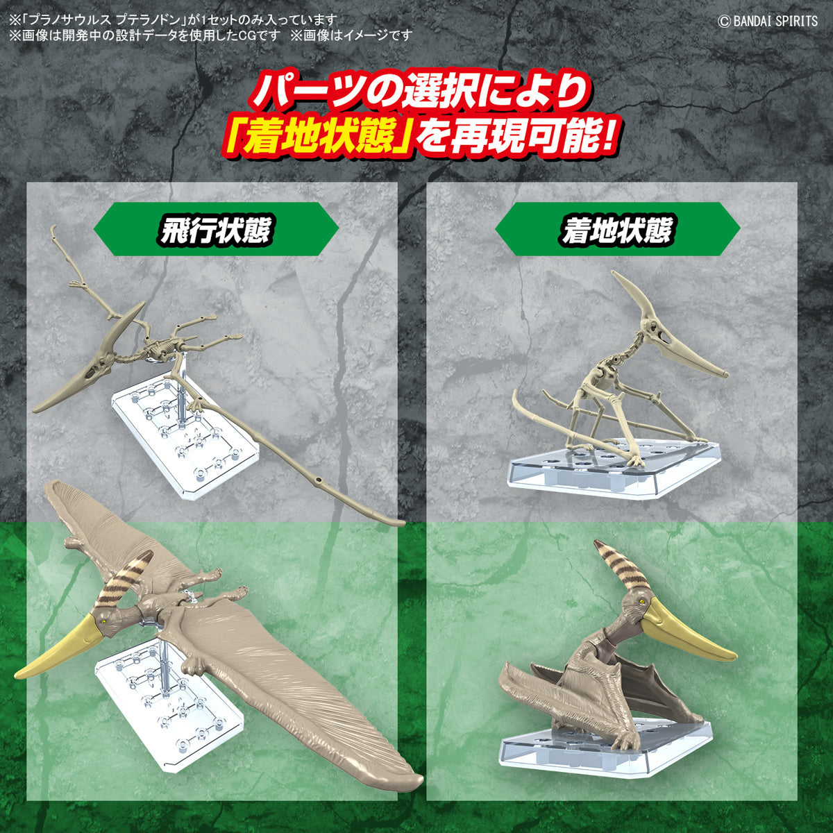 PLANNOSAURUS Pteranodon