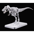PLANNOSAURUS Tyrannosaurus Painting Ver.