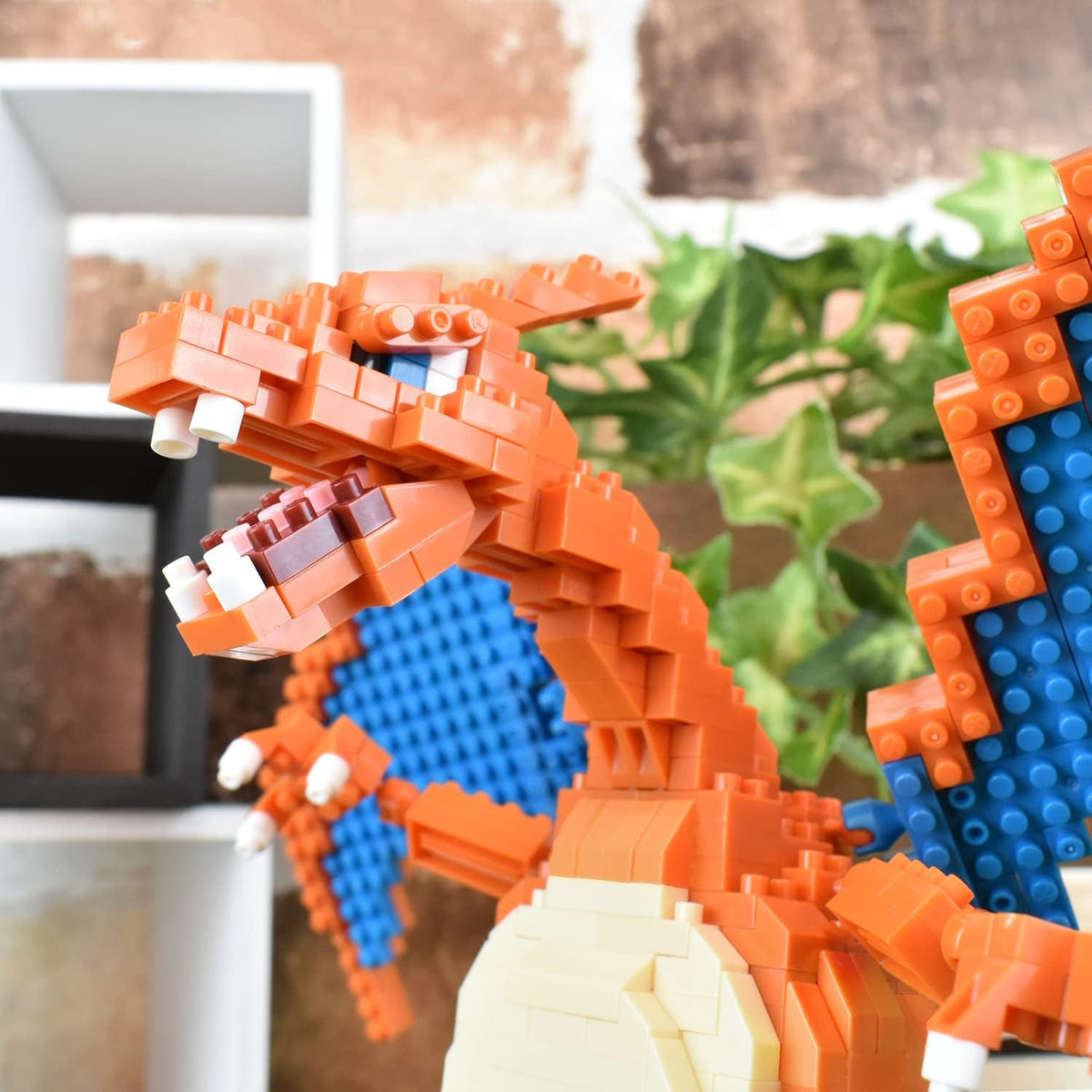 Pokemon - DX Charizard