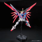 RG 1/144 DESTINY GUNDAM