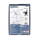 ROKR Models Butterfly - Blue
