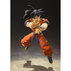 S.H.Figuarts Son Goku (A Saiyan Raised on Earth)