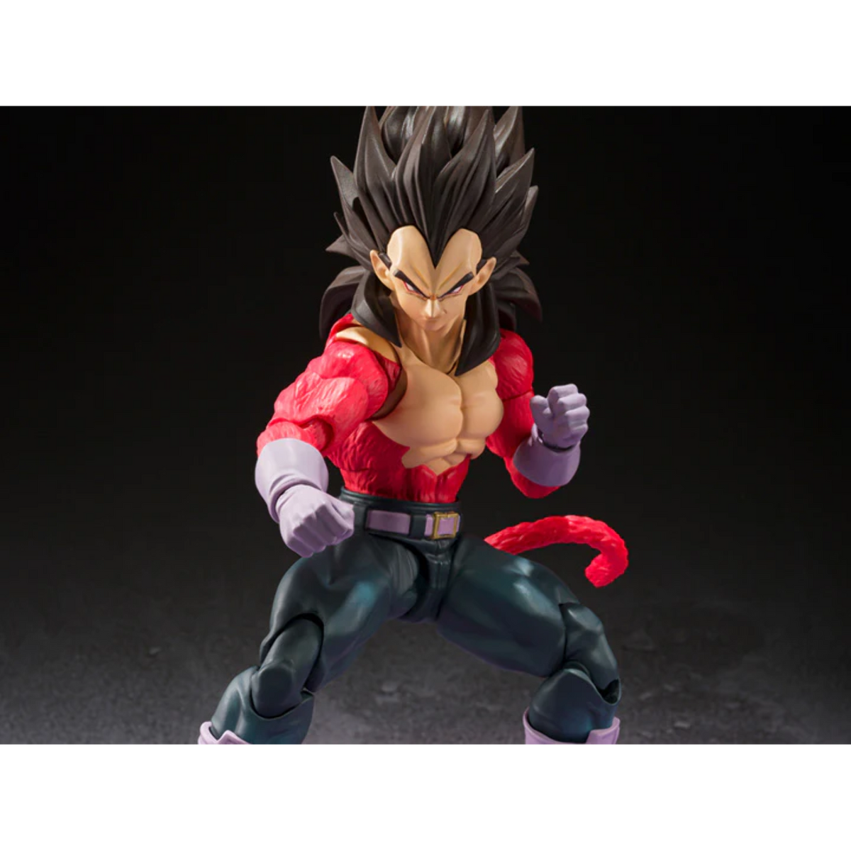 S.H.Figuarts SUPER SAIYAN 4 VEGETA_4