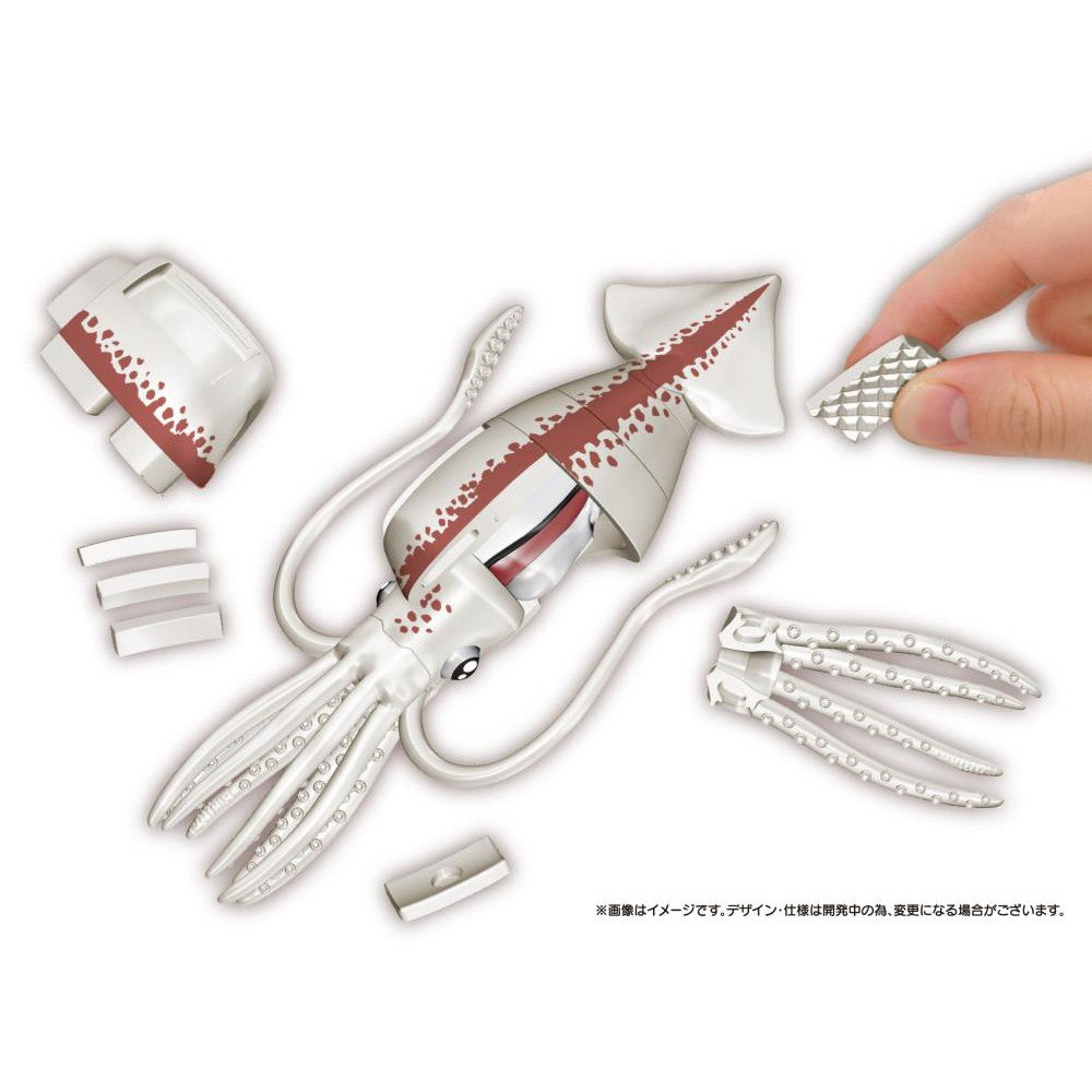 Squid Puzzle