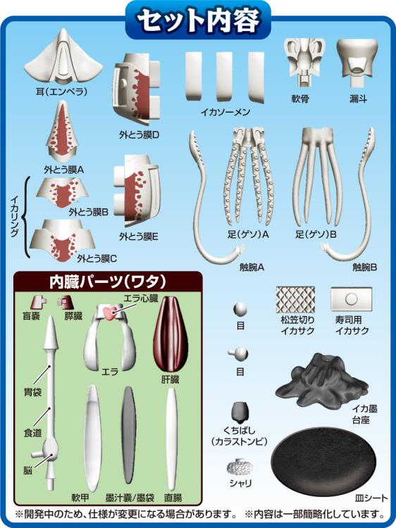 Squid Puzzle