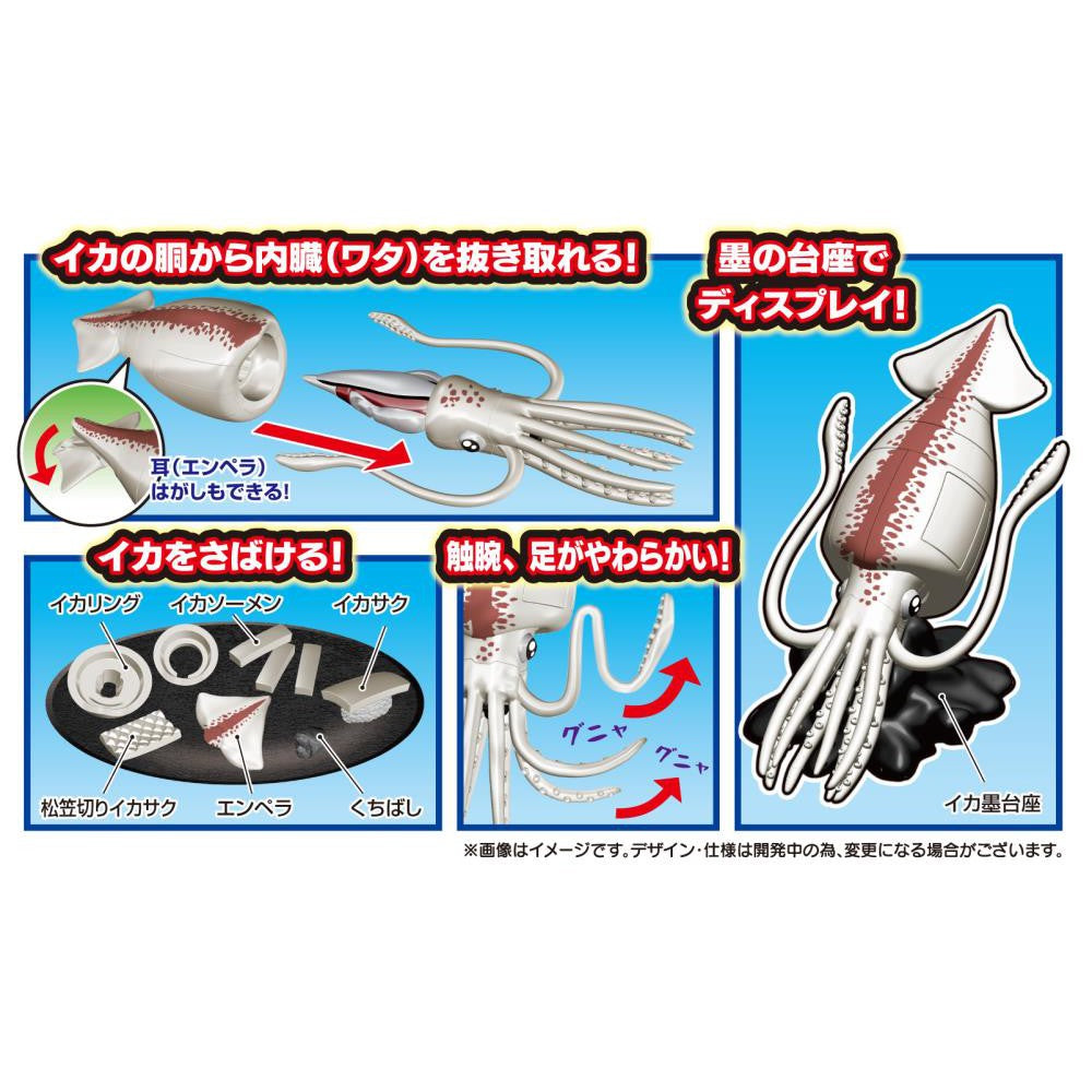 Squid Puzzle