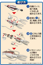 Squid Puzzle
