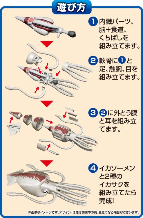 Squid Puzzle