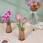 Wood Bloom Purple Moth Orchid