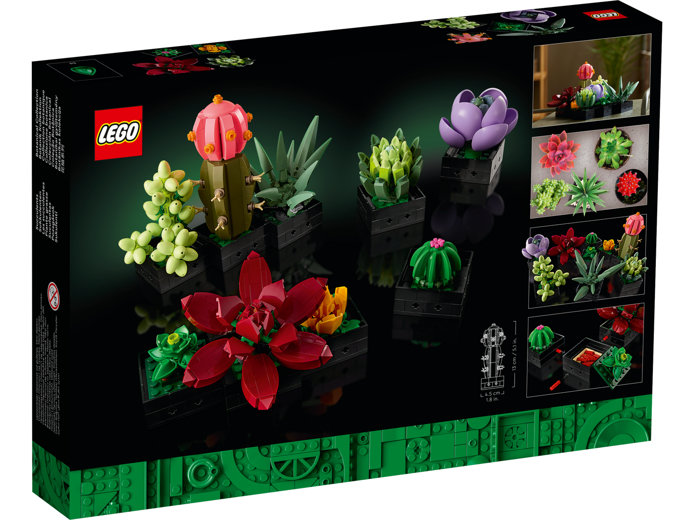Icons Succulents 10309