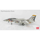 Hobby Master - 1/72 F-14A Tomcat   "Bounty Hunters" '76