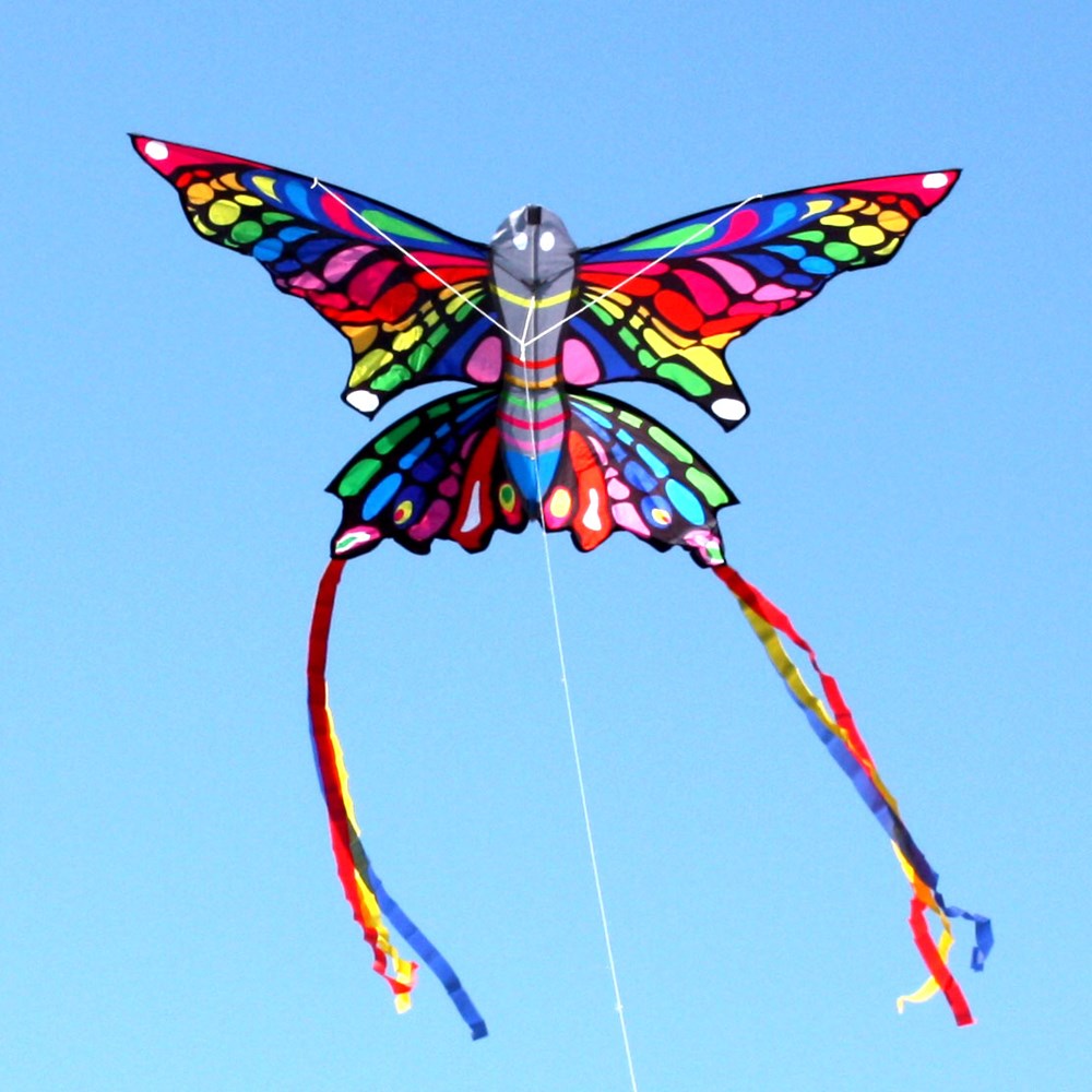7150 Rainbow Butterfly Single String