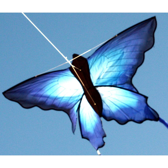 7160 Blue Ulysses Butterfly Single String