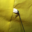 7622 Addict 2.2m Power Kite Dual Control