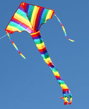 882 Rainbow Delta Single String