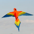883 Lorikeet Single String