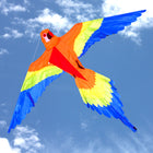 883 Lorikeet Single String