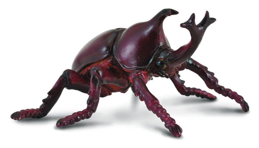 Collecta - Rhinoceros Beetle