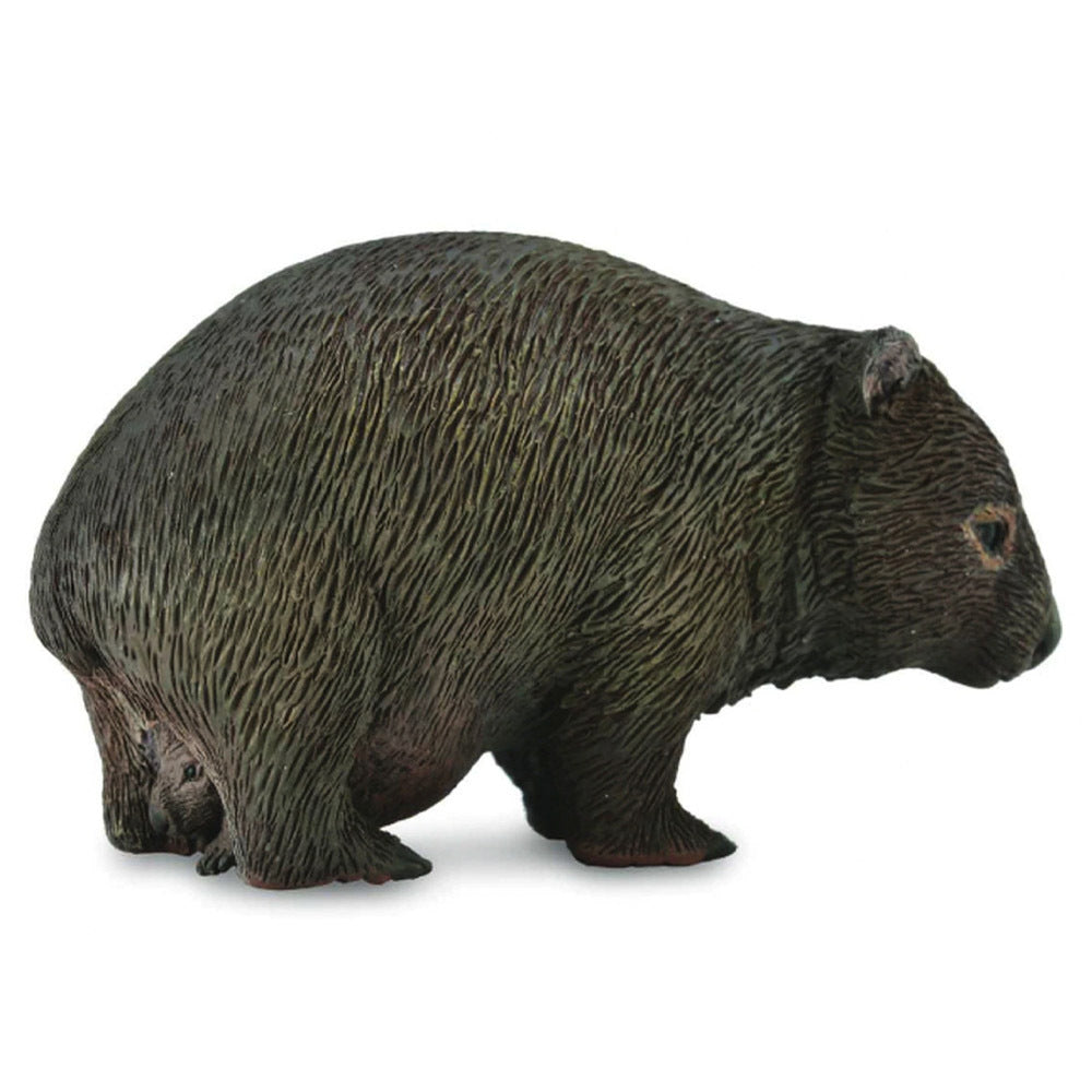 Collecta - Wombat (M)