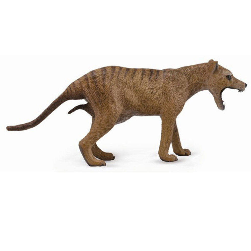 Collecta - Thylacine (Tasmanian Tiger)