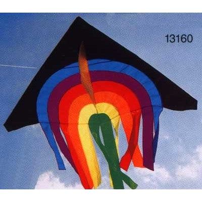 Delta 2000 Kite
