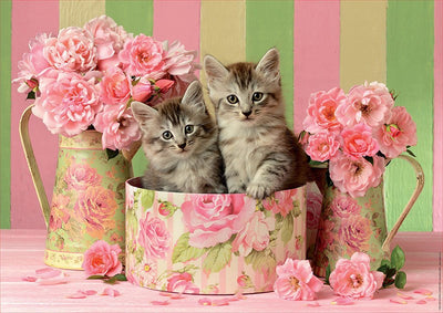 500pc Kittens With Roses
