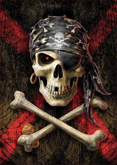 500pc Pirate Skull