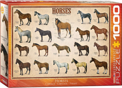 1000pc Horses