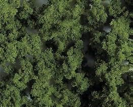 Clump Foliage (Light Green) 290ml