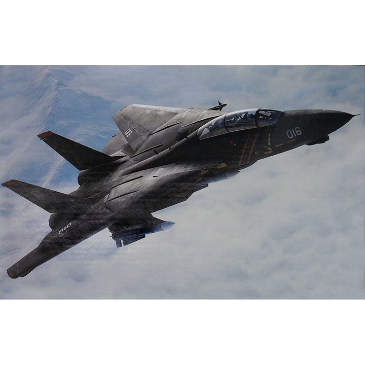JC Wings - 1/72 F-14A Tomcat Ace Combat Razgriz