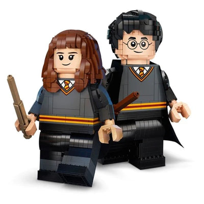 Harry Potter Harry Potter and Hermione Granger 76393