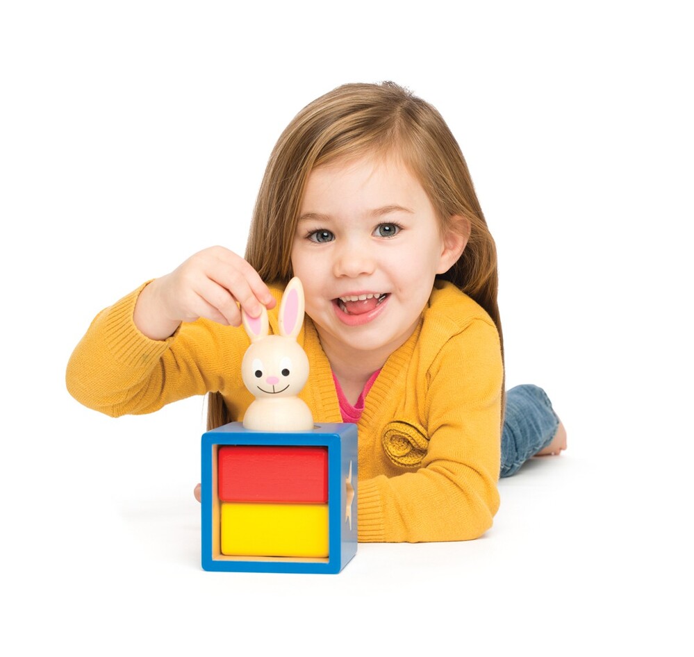 Smart Games Preschool Games Bunny Peek a Boo
