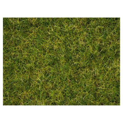 Noch - Master Grass Blend Summer Meadow (100g)