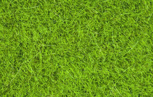 Wild Grass Bright Green (6mm)(100g)