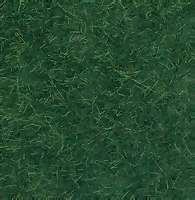 Noch - Wild Grass Dark Green