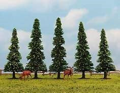HO Pine Trees 810cm 5