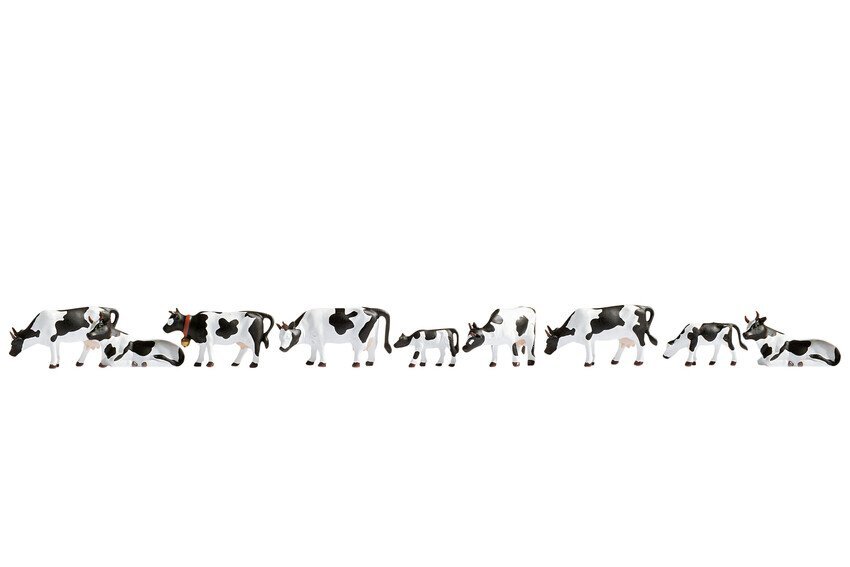 N Black & White Cows (9)