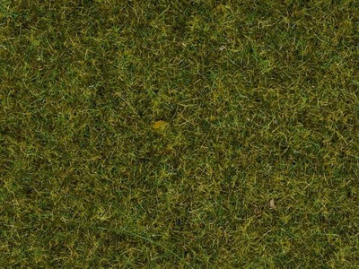 Noch - Scatter Grass Meadow (2.5mm) (100g)