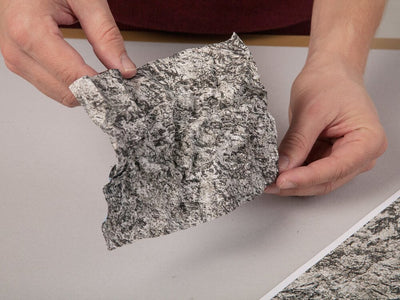 Noch - N Wrinkle Rocks"Grossvenediger"45x25.5cm