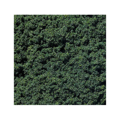 Foliage Clusters Dark Green 70g