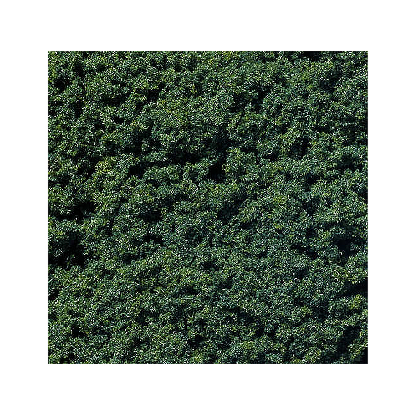 Foliage Clusters Dark Green 70g