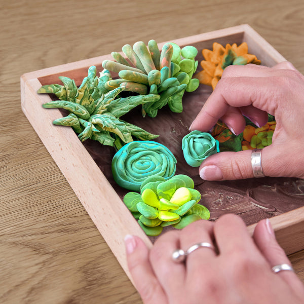 Wood & Craft DIY Succulents: Energy